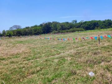 TERRENOS EN VENTA EN LAGARTERA 1° SECCIÓN