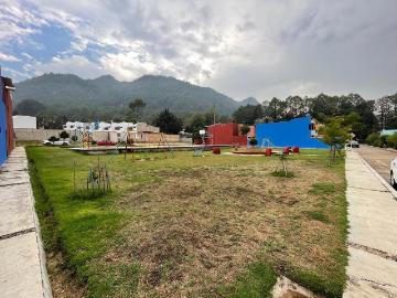 Terrenos en venta en san cristobal de las casas