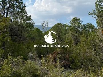 Terrenos en Venta en Sin Colonia