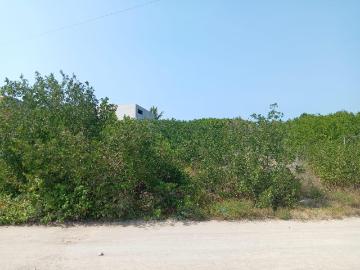 Terrenos en Venta en Sisal a 200m de la Playa