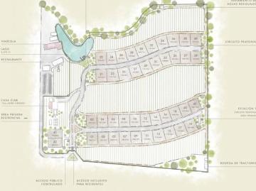TERRENOS EN VENTA RESIDENCIAL CON VIÑEDO EN AGUASCALIENTES AMK