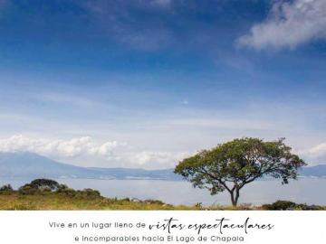 Terrenos en venta San Juan Cosalá $5,250 m²