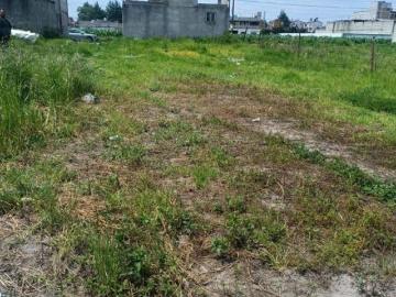 Terrenos en Venta, San Mateo Atenco, México