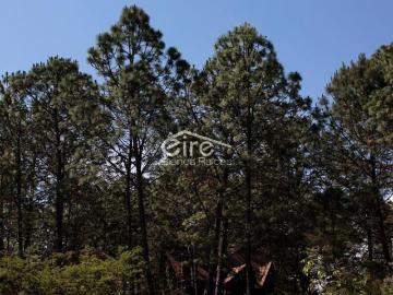 Terrenos en Venta Sendero de Los Venados, Atemajac de Brizuela, Jalisco