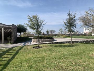 Terrenos en Ca?ada La Porta