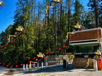 Terrenos en Exclusiva Privada Bosques de San Cayetano en Mineral del Monte, Hidalgo