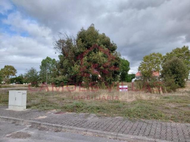 Terrenos Entroncamento Entroncamento DLS95901926