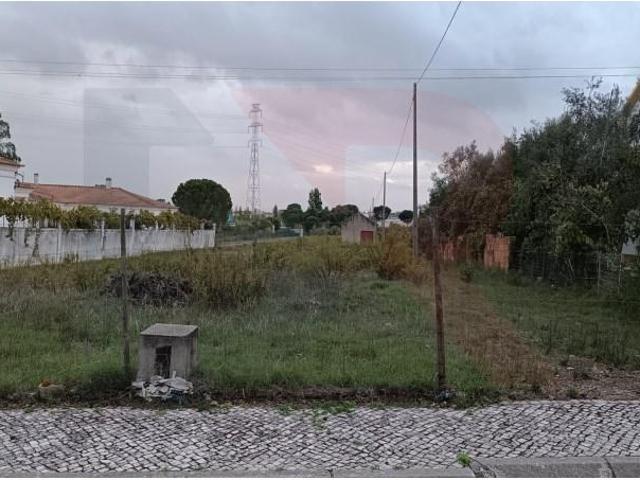 Terrenos Entroncamento Entroncamento DLS97121963