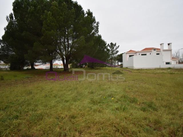 Terrenos Entroncamento Entroncamento DS87038881