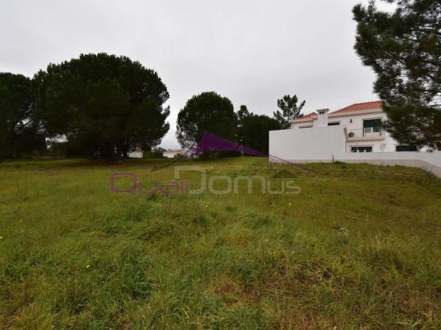 Terrenos Entroncamento Entroncamento DS87038885