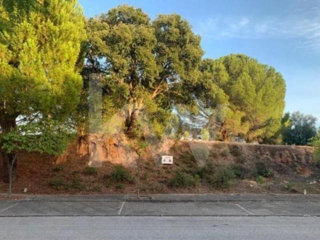 Terrenos Entroncamento Entroncamento DS97882507