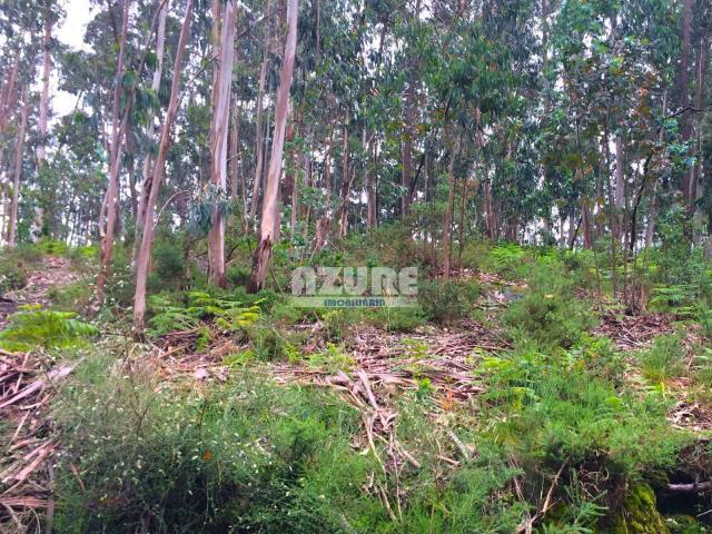 Terrenos Esposende Braga 4740 000 DLS85419555