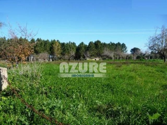 Terrenos Esposende Braga 4740 000 DLS85419602