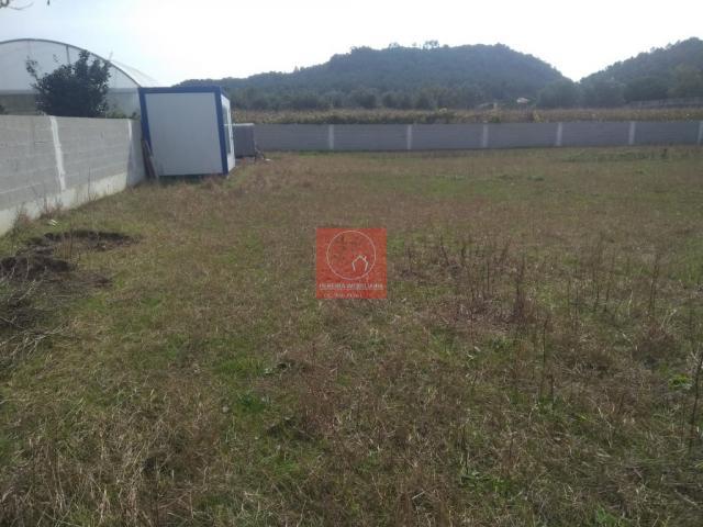 Terrenos Esposende Braga DLS82978596