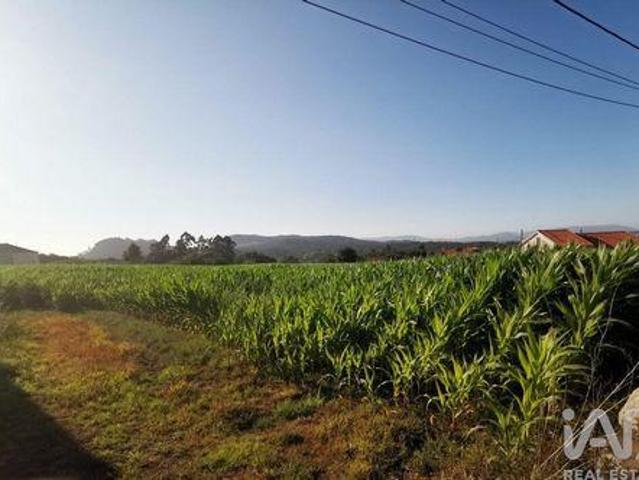 Terrenos Esposende Braga DLS94847786