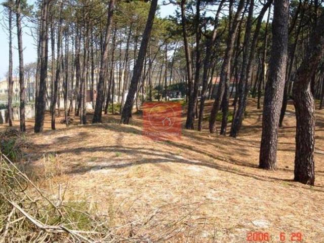 Terrenos Esposende Braga DS82978590