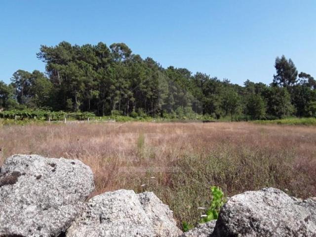 Terrenos Esposende Esposende DS96744219