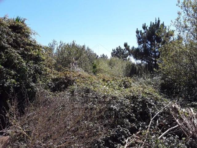 Terrenos Esposende Esposende DS99995362