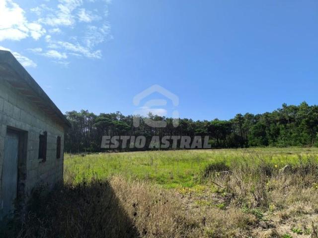 Terrenos Esposende Esposende 4740 357 DS98925190