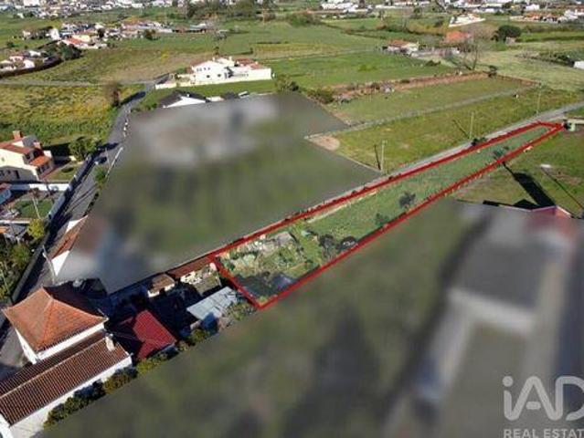Terrenos Estarreja Aveiro DLS101623526