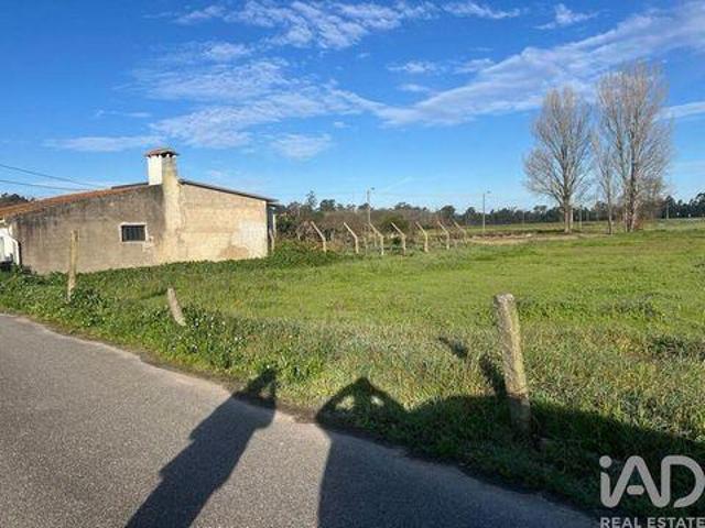 Terrenos Estarreja Aveiro DLS101891782