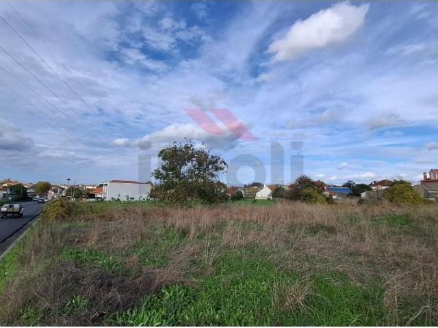 Terrenos Estarreja Estarreja DS93177423