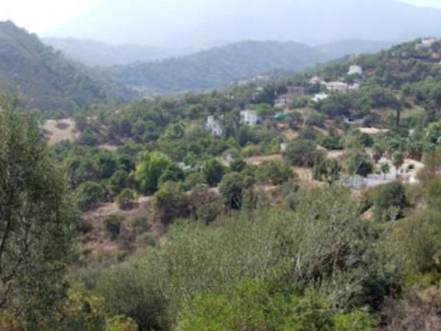 Terrenos Estepona Málaga 98141290