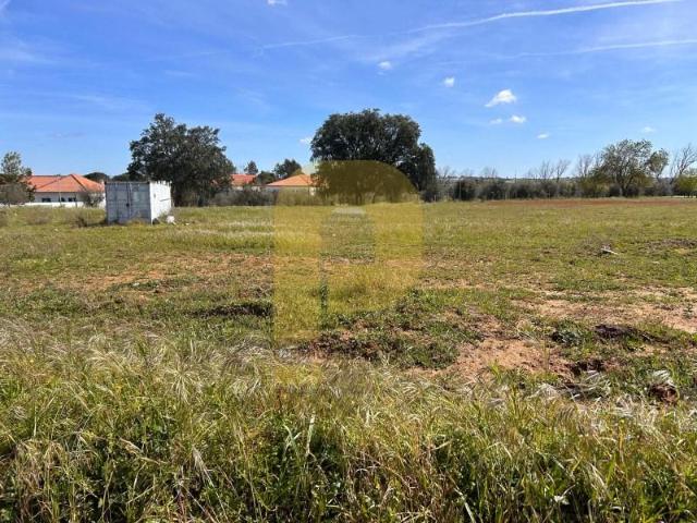 Terrenos Évora Évora DLS100265512
