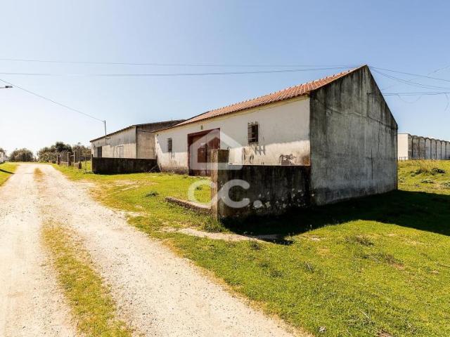 Terrenos Évora Évora DS100176146