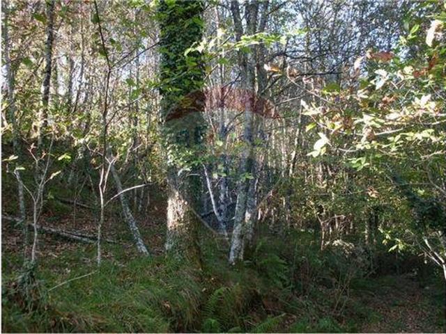Terrenos Fafe Braga DLS100020079