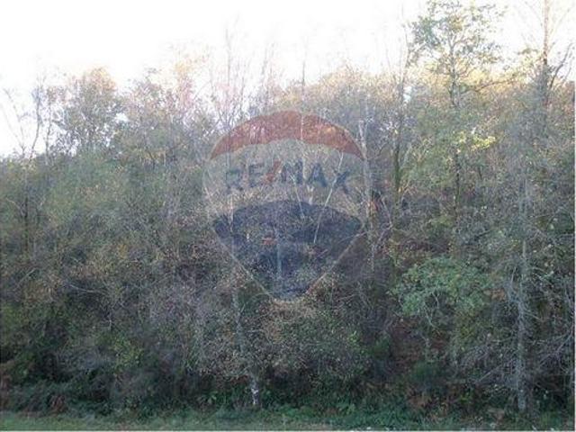 Terrenos Fafe Braga DLS100020083