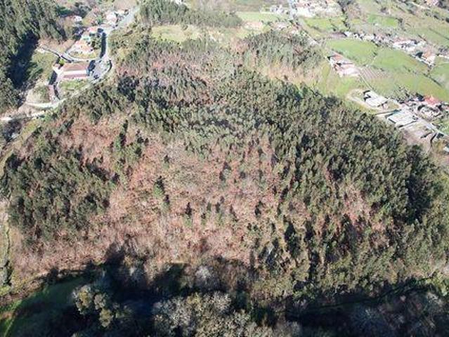 Terrenos Fafe Braga DLS100020388