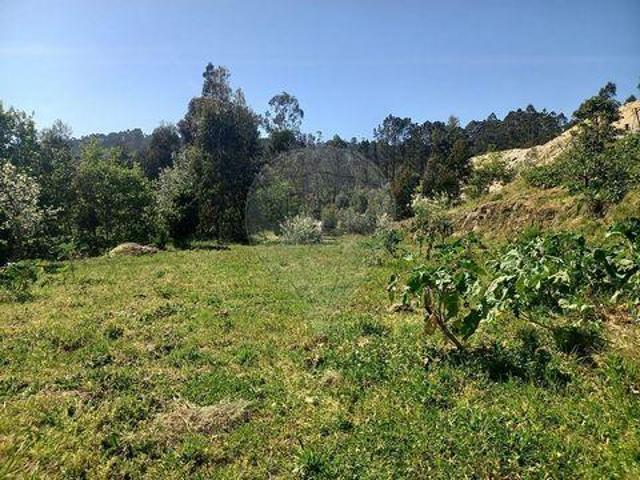 Terrenos Fafe Braga DLS102116555