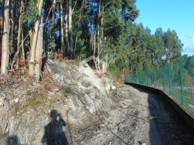 Terrenos Fafe Braga DS79073866