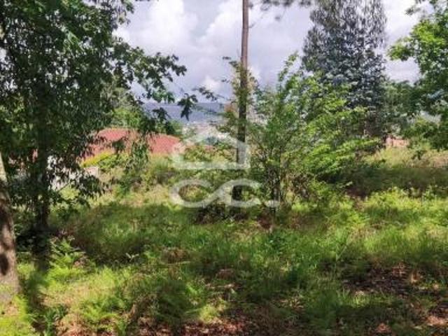 Terrenos Fafe Braga DS79073948
