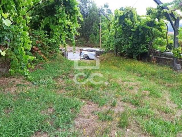 Terrenos Fafe Braga DS79074057