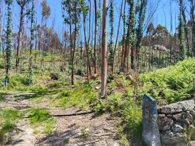 Terrenos Fafe Fafe 4820 013 DLS90915946