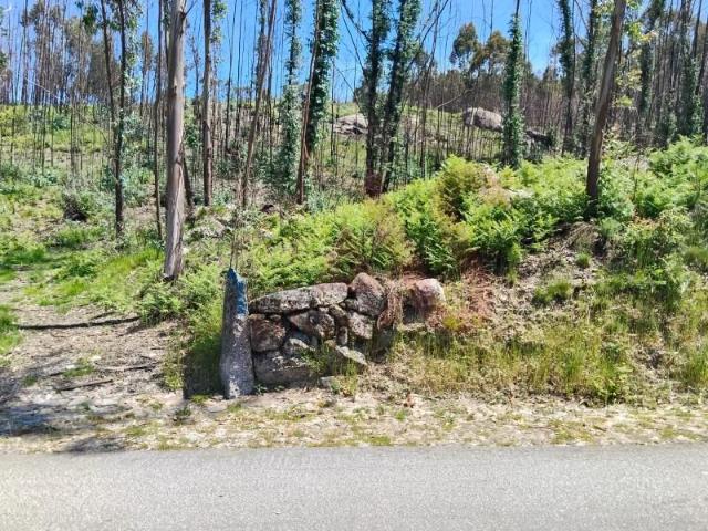 Terrenos Fafe Fafe 4820 013 DS97335106