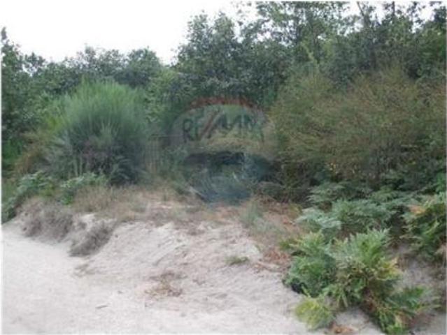 Terrenos Fafe Fafe DLS99819044