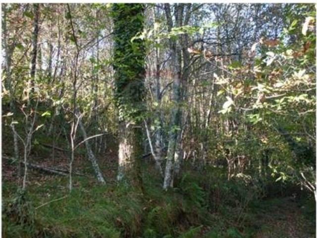 Terrenos Fafe Fafe DLS99392022