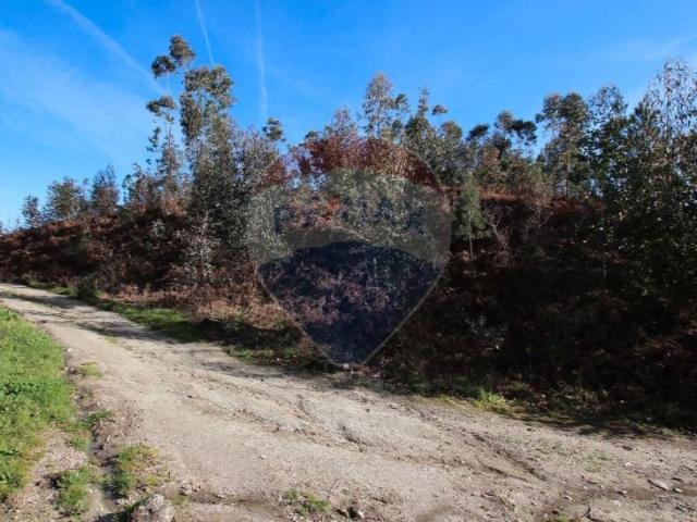 Terrenos Fafe Fafe DS101597531