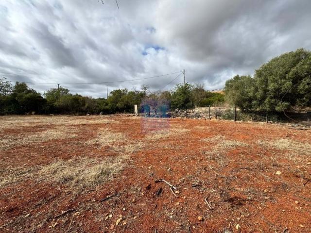Terrenos Faro Algarve DLS95418022