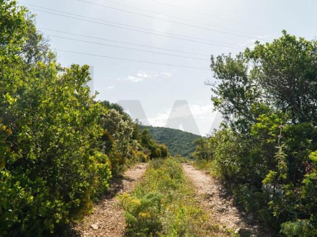 Terrenos Faro Algarve DS90999332