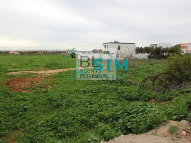 Terrenos Faro Faro 8005 DS97701329