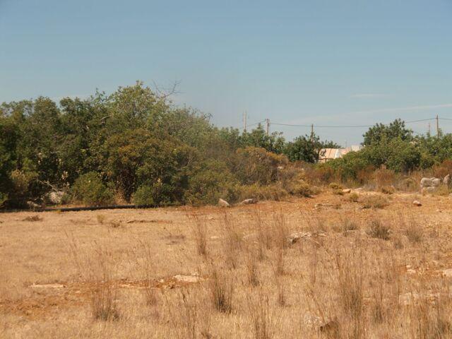 Terrenos Faro Faro DLS85627021