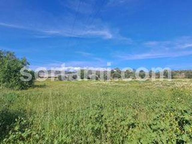 Terrenos Faro Faro DLS96331223
