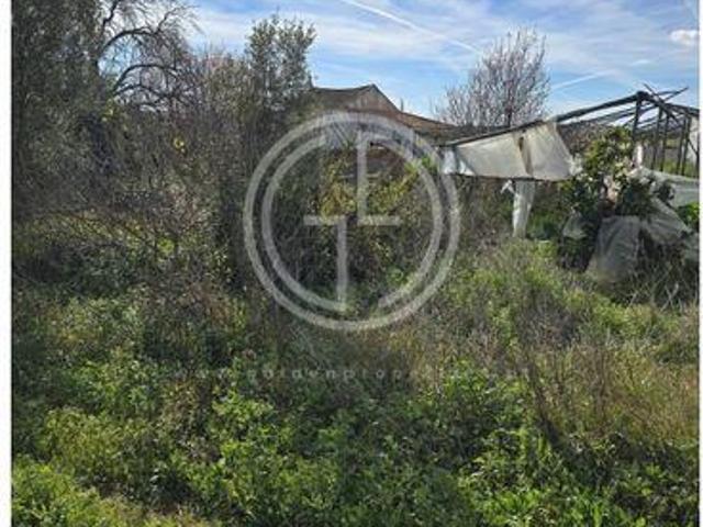 Terrenos Faro Faro DS88672972