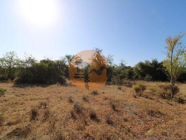 Terrenos Faro Faro DS96316250