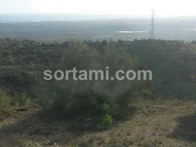 Terrenos Faro Faro DS96330983