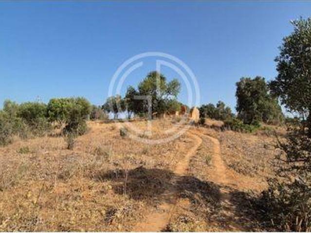 Terrenos Faro Faro DS96333233